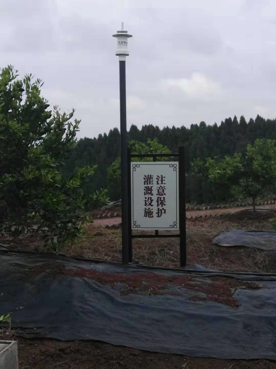 四川省晚熟柑橘智慧农业生态水肥管理系统