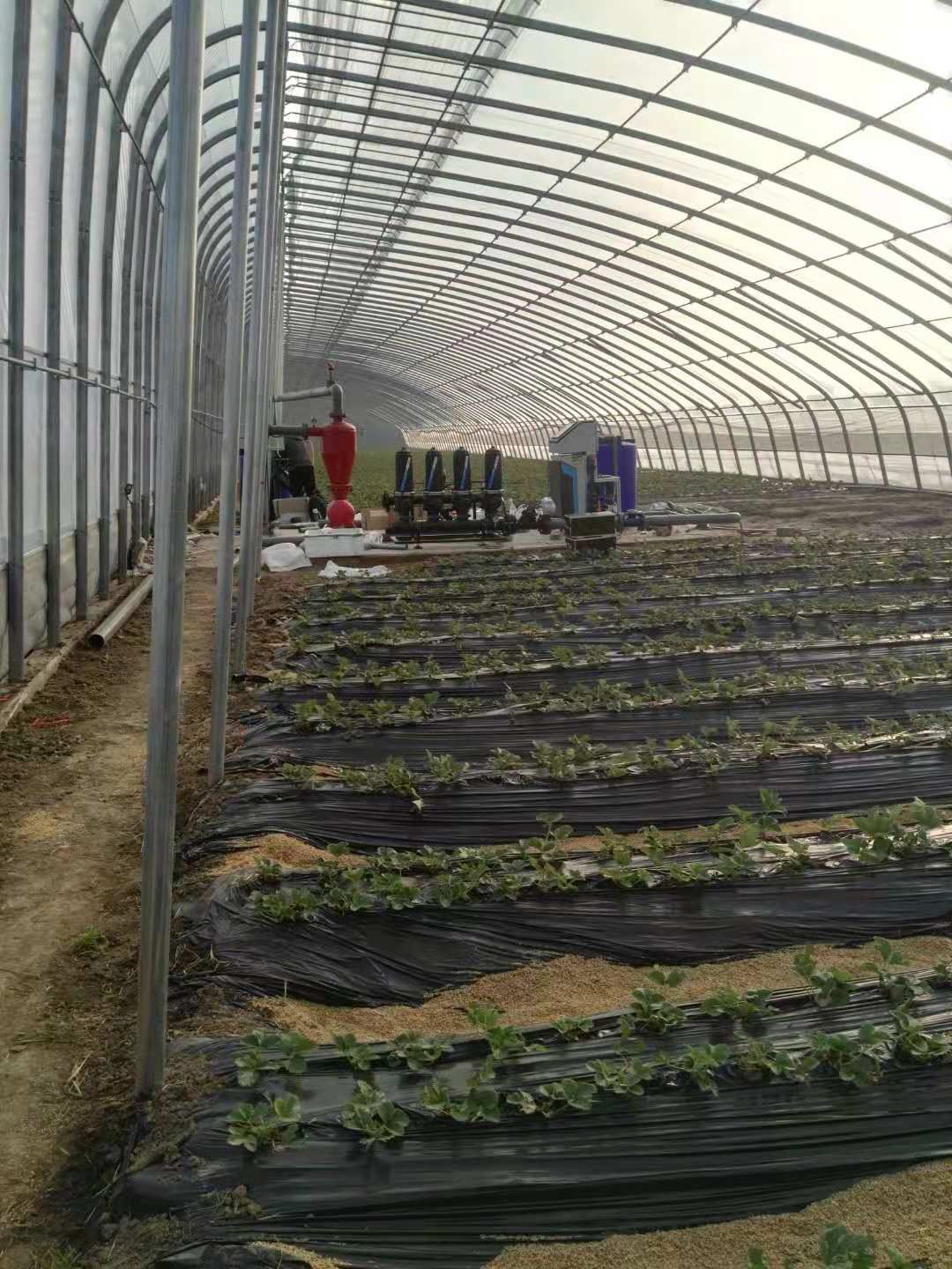 山东大棚草莓智慧农业生态水肥管理系统